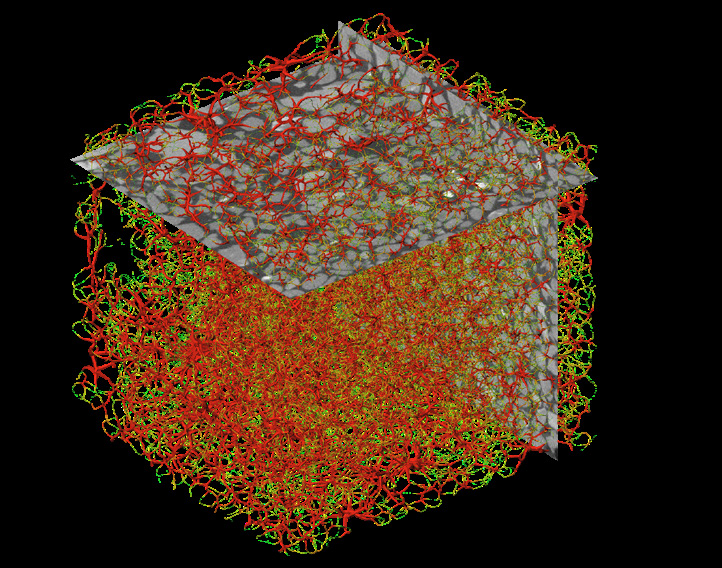 Crack Analysis